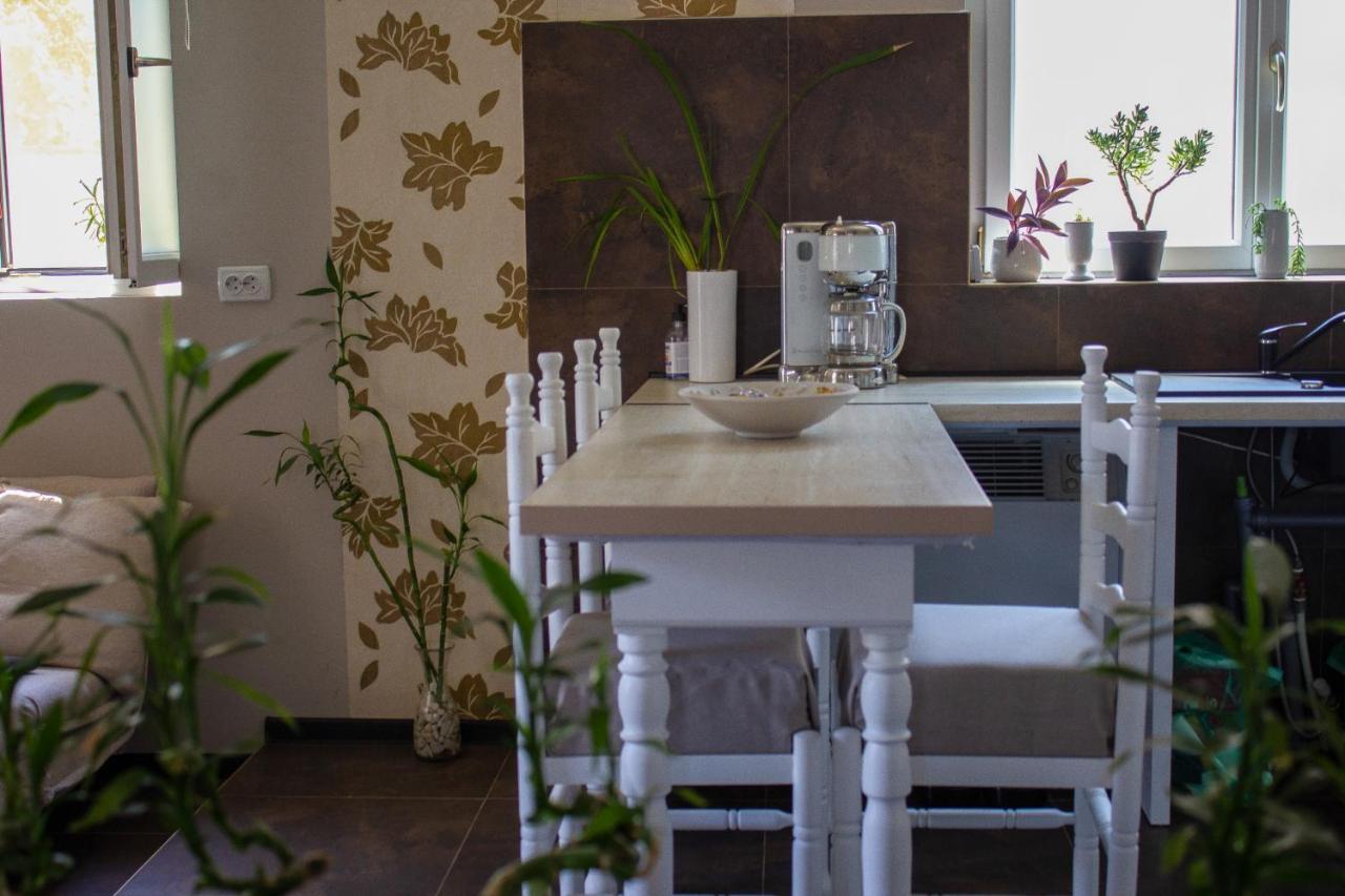 Yox Apartment 1 Oradea Ngoại thất bức ảnh
