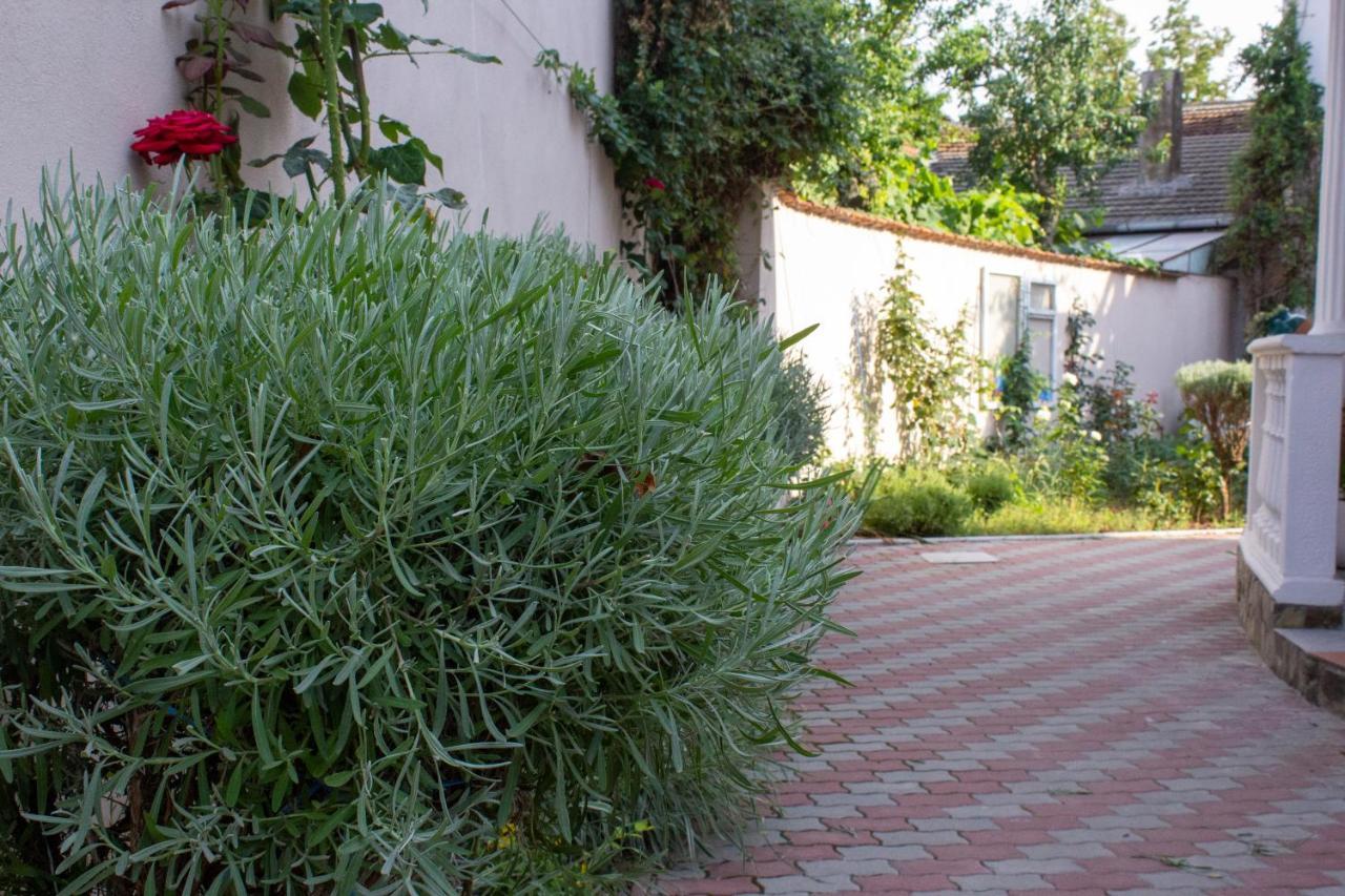 Yox Apartment 1 Oradea Ngoại thất bức ảnh